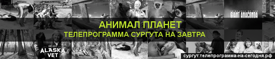Телепрограмма на завтра канала Анимал Планет, Сургут