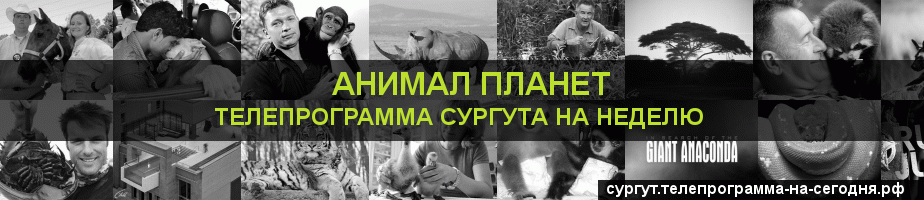Телепрограмма на неделю канала Анимал Планет, Сургут
